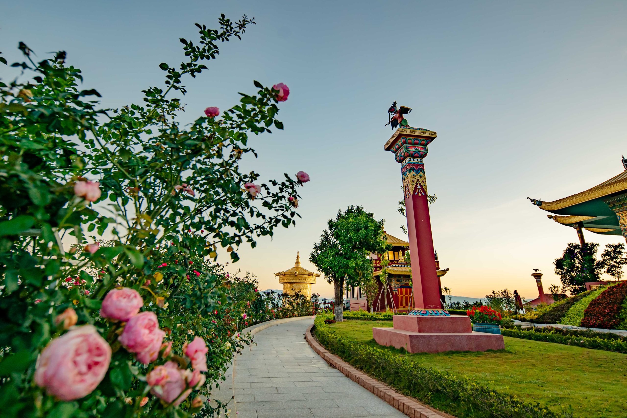 Gói Camping Trong Ngày